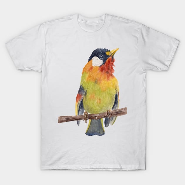 Colorful bird T-Shirt by nadiaham